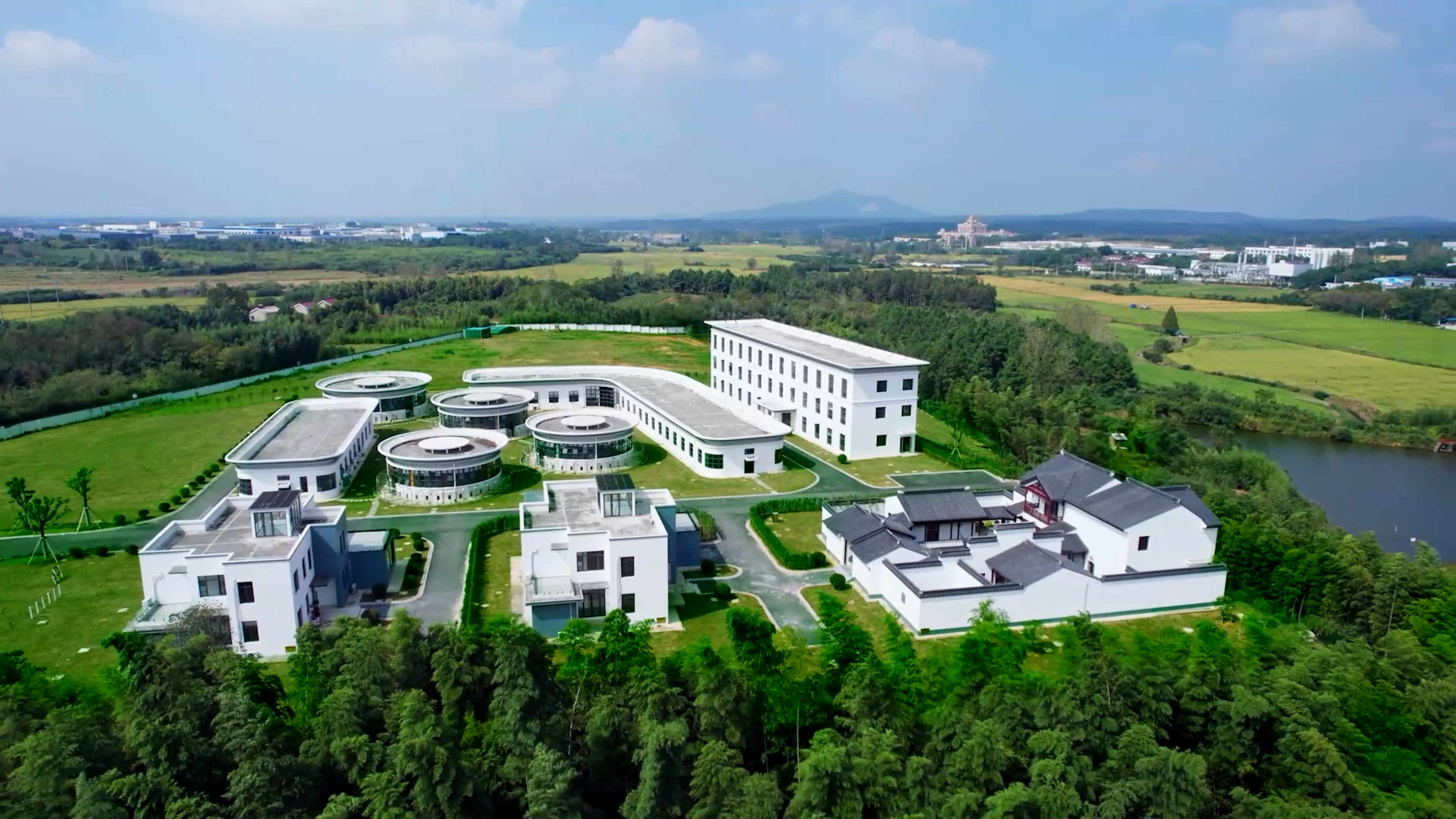 中國首個獲批實驗動物使用許可的寵物食品公司！福貝寵食引領(lǐng)行業(yè)科研規(guī)范化進程